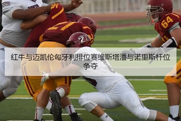 红牛与迈凯伦匈牙利排位赛维斯塔潘与诺里斯杆位争夺