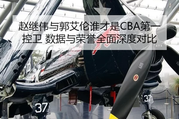 zhao-ji-wei-yu-guo-ai-lun-shui-cai-shi-di-yi-kong-wei-shu-ju-yu-rong-yu-quan-mian-shen-du-dui-bi-2-435.jpg