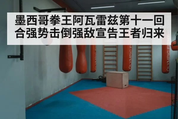 墨西哥拳王阿瓦雷兹第十一回合强势击倒强敌宣告王者归来